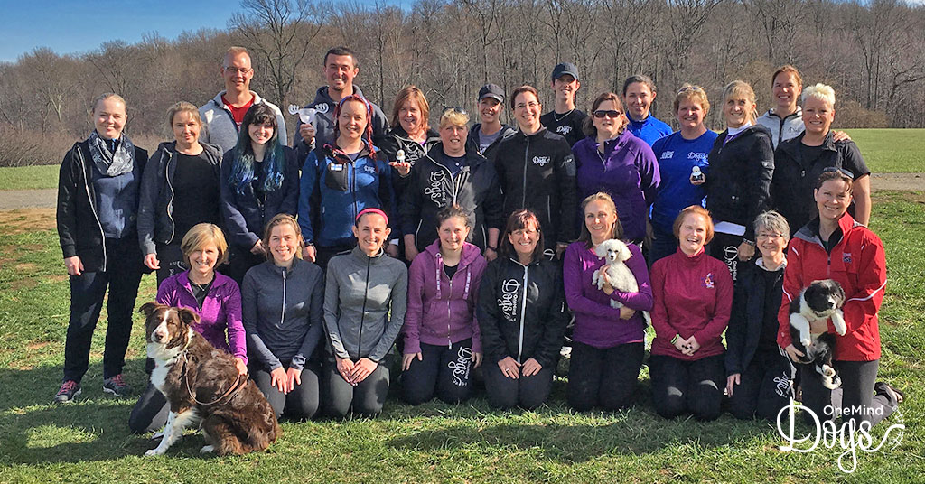 Coaches and Events OneMind Dogs